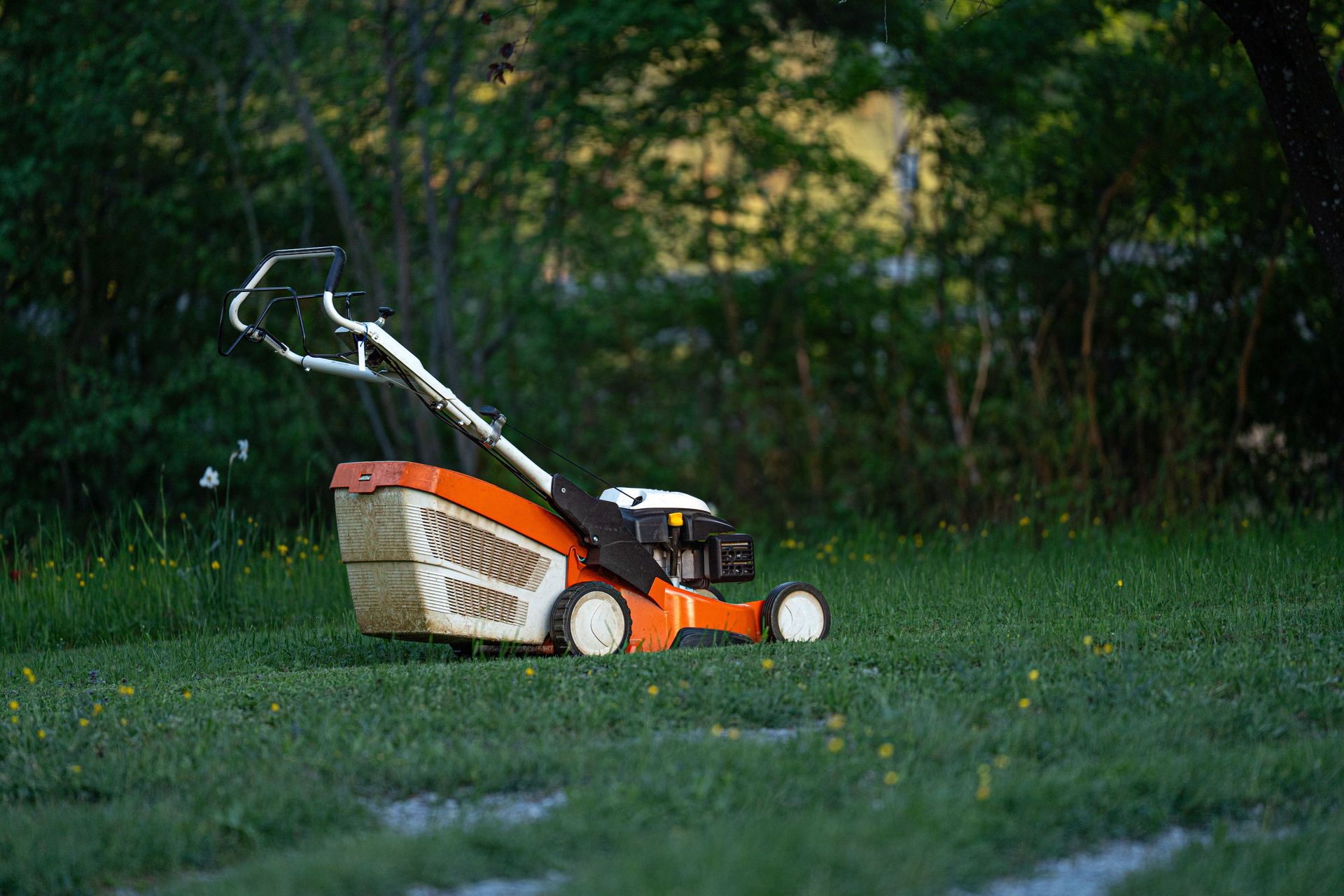 A lawn mower sits on a green lawn in a backyard, ready for yard work.